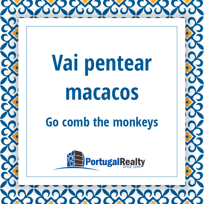 Portugal Realty Portuguese Vai pentear macacos