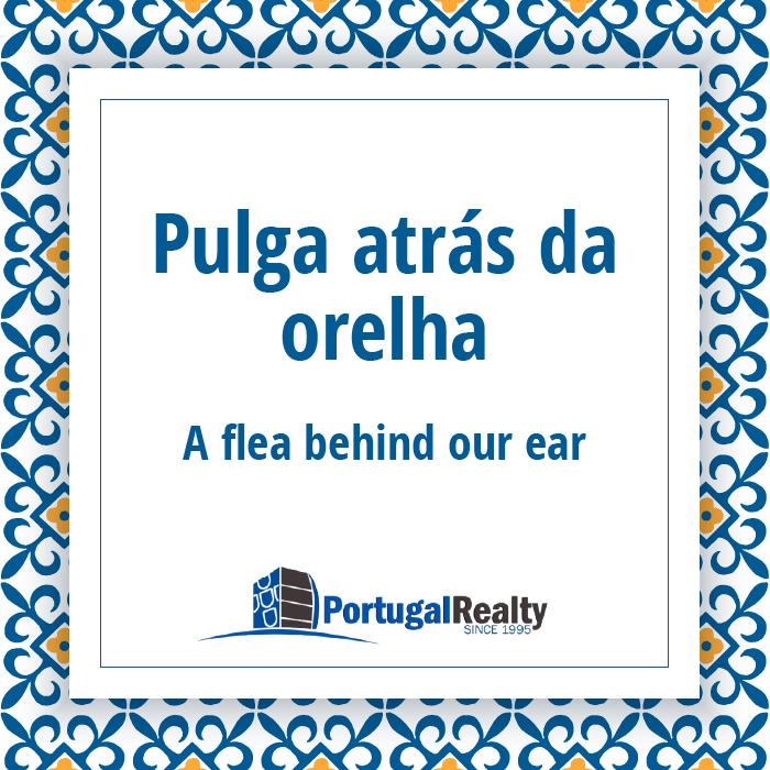 Portugal Realty Portuguese Pulga atras da orelha