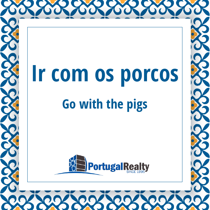 Portugal Realty_Portuguese_expressions_Ir com os porcos