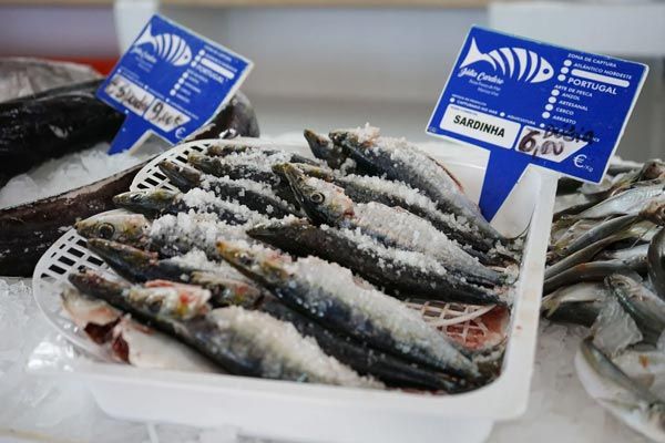 Fish market in Alfeizerao Portugal