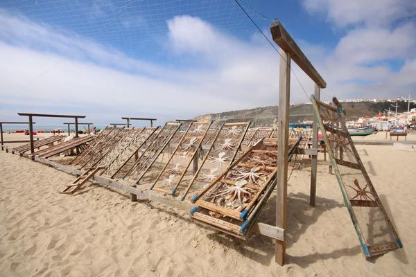 Traditional fish drying racks on the sand in Nazare beach Portugal